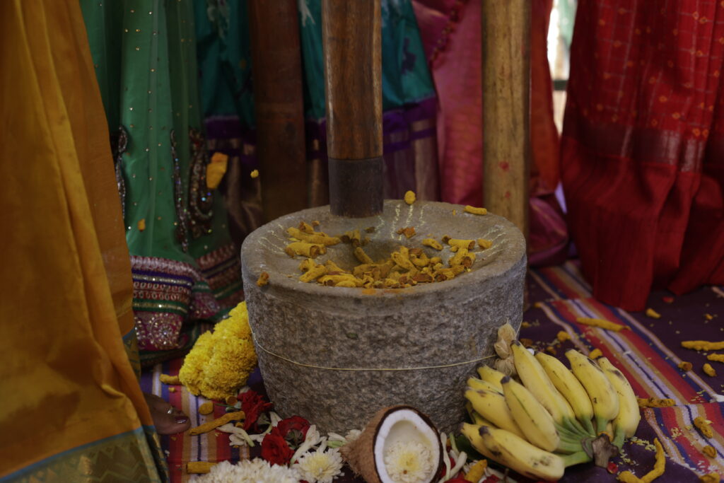 making turmeric powder in a traditional way